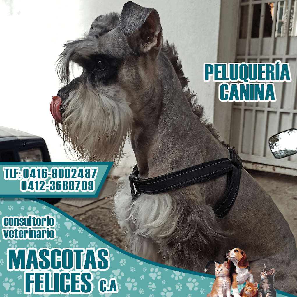 Consultorio veterinario Mascotas Felices C.A